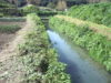 Canale di bonifica